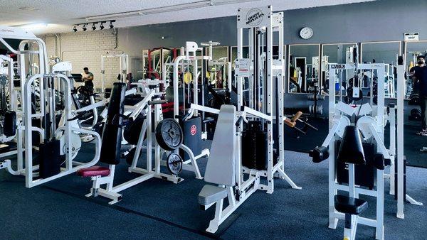 We have.
All variety of high-grade commercial gym equipments.