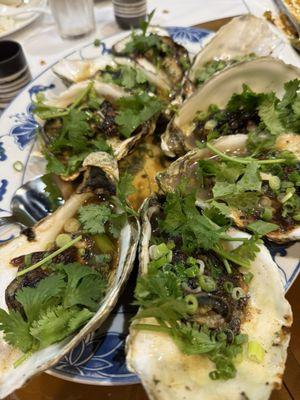 XL Grilled Oysters