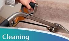 Carpet Cleaning