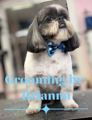 Regal Pet Grooming & Boarding