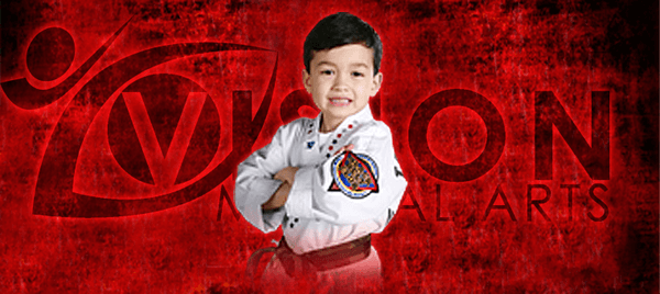 Vision Martial Arts Karate For Kids