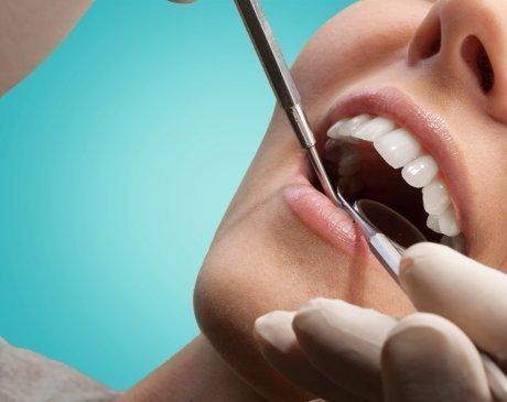 Wellness Dental