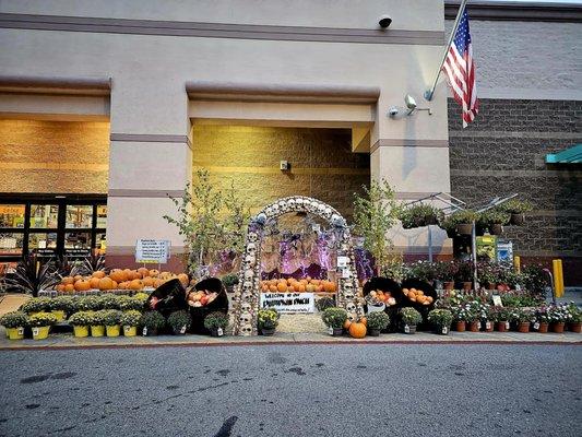 Halloween is just around the corner.  Pumpkin and decorations available