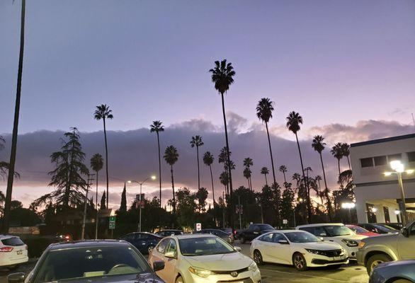 10/25/21 The parking area looks great after a cleansing rain.