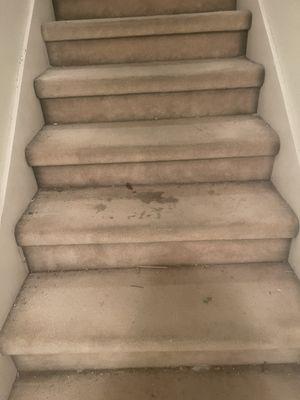 Dirty living conditions with stains left on stairs!