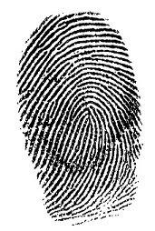 Live Scan and Ink Fingerprinting