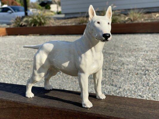 The English bull terrier mentioned in our review, after repair.