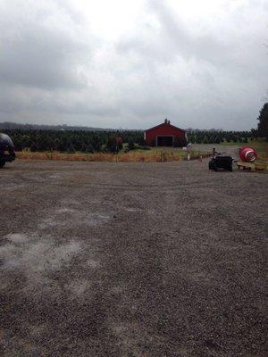 New barn for indoor shopping pre cut trees