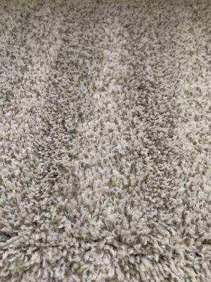 Close up of how clean the carpet is