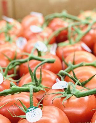 Hothouse tomatoes.