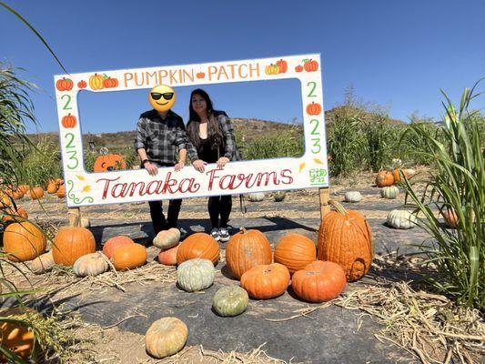 Pumpkin Patch Season - photo op