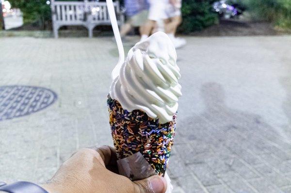 Vanilla frozen custard on a chocolate sprinkle "Ultimate waffle". A lighter, smoother form vs ice cream. One of VB's treats. (8/1/2019)