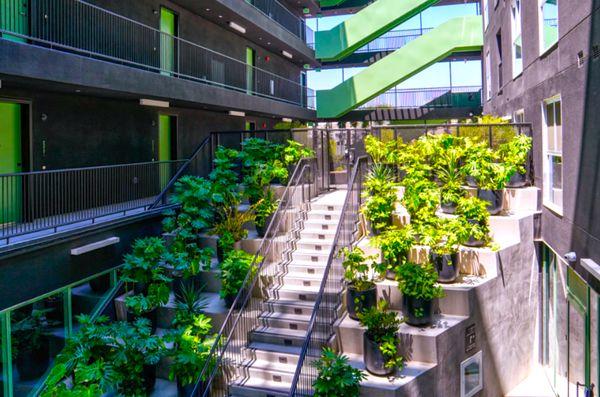 Lush landscape in our atrium at The jagger Apartments in West Los Angeles.