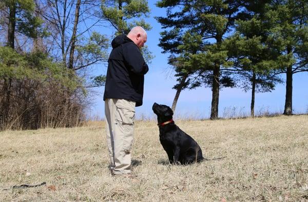 Terry, a training team member, works with his search and rescue dog, Shadow on maintaining eye contact.