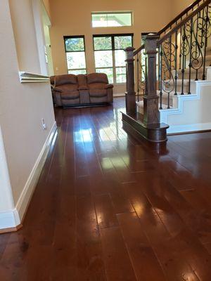 Wood Floor Cleaning