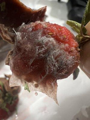 Mold on strawberry