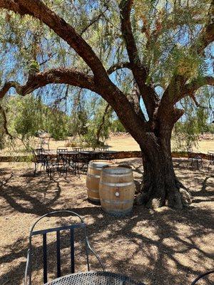 Outside wine tasting area!