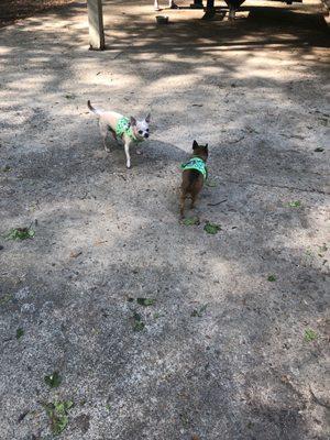 Cabin John Dog Park