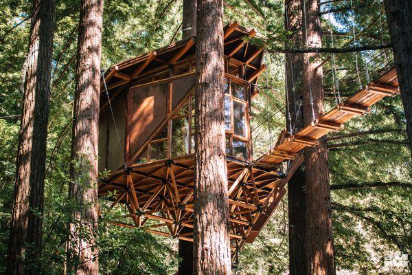 O2 Treehouse