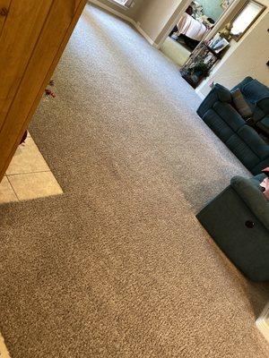 Dickerson Carpet and Floor