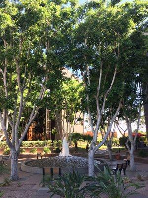 The Grounds-a peaceful oasis-next to the entrance of Sonora Quest's Camelback location