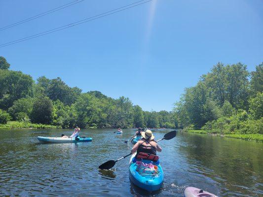 Great day for kayaking