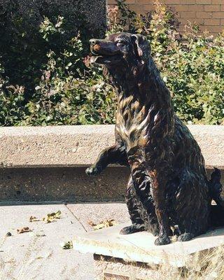 Annie waits outside the Main Library