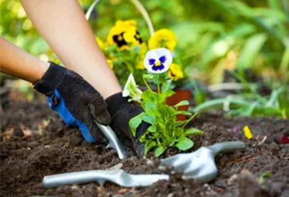 Don's Garden Shop & Landscape Materials