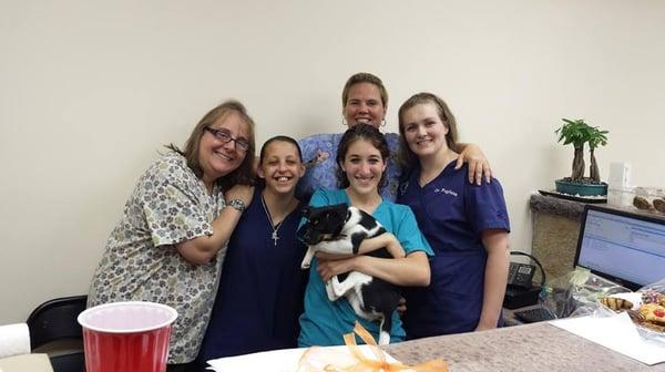 Eltingville Veterinary Practice