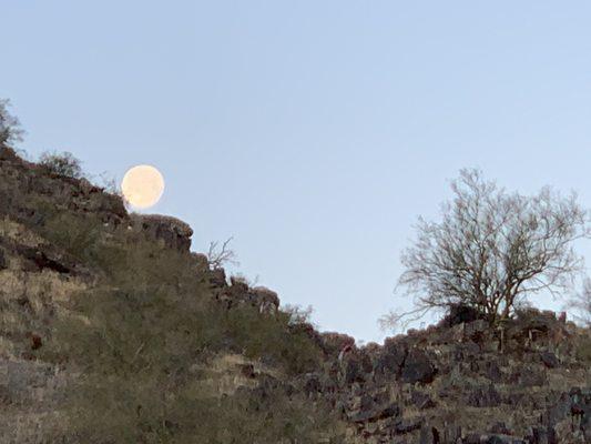 Snow Full Moon.