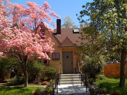 Mindful Pathways Counseling Office in North Portland