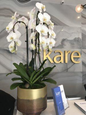 Santa Monica Kare Plastic Surgery office