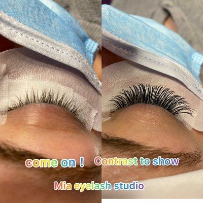 Mia Eyelash Extensions