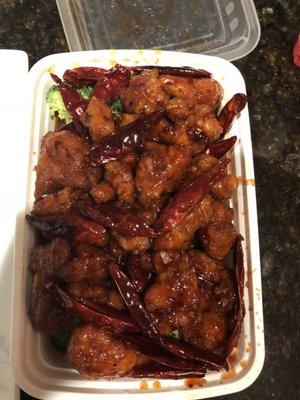 They make the best General Tsos! I ask them to put 30-40 Chilli peppers! Better every time!!!