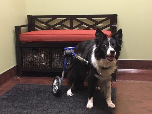 Maggie showing off her new wheels