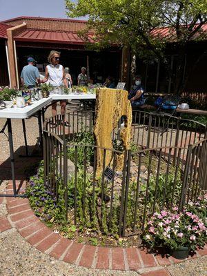 Albuquerque Garden Center