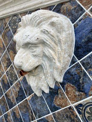 Italian Lion head with copper spout is just a feature your pool must have