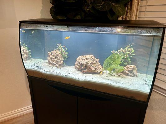 32 gallon freshwater Fluval Eclipse