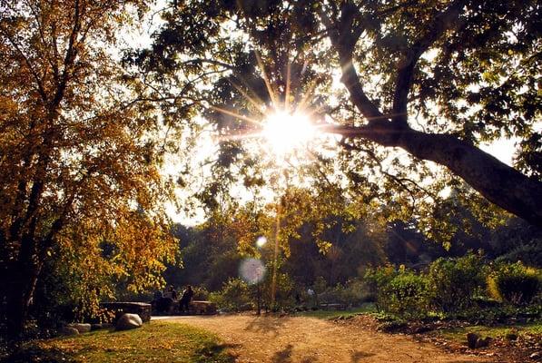 Descanso Gardens