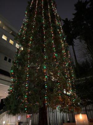 OHSU Doernbecher Children's Hospital