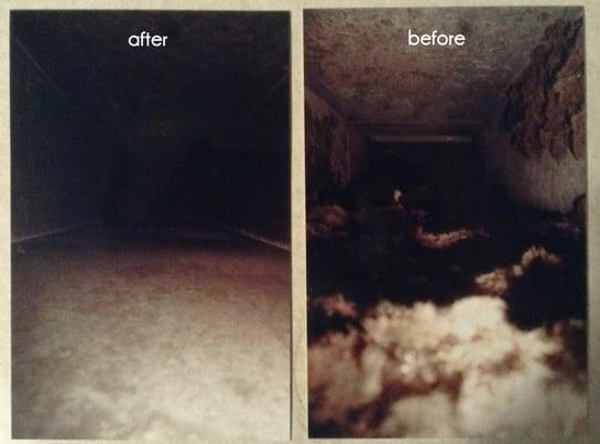 Before and after of my disgusting ducts made all better by Dirty Ducts Cleaning!