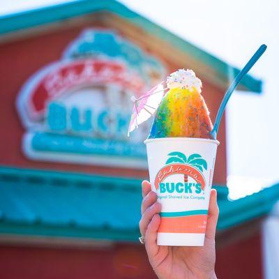 Bahama Buck's - Mesa S Signal Butte Road