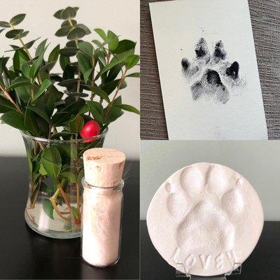 Remembrance item capturing includes fur clippings, ink paw prints, and clay paw impressions.