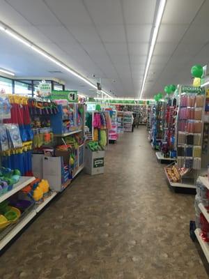 West Bridgewater Dollar Tree -- 860 North Main Street / Route 28, W Bridgewater / Brockton           Interior