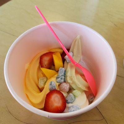 Frozen yogurt