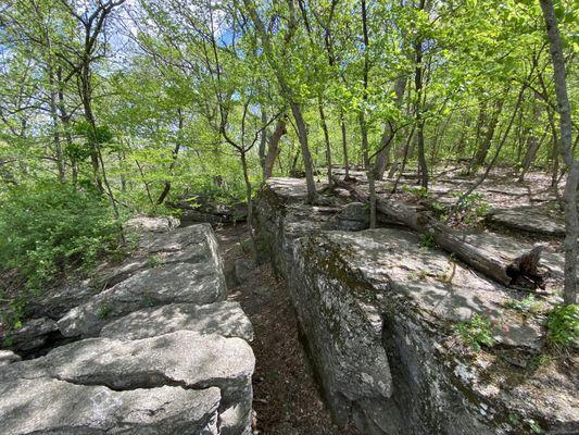 From atop one of several rock outcrops.