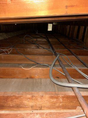 Clean and sanitized low profile attic