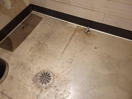 Gross bathroom floors