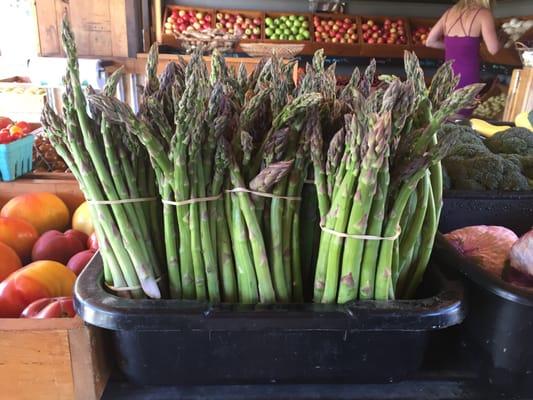 Asparagus from Yakima, WA