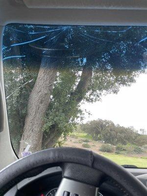 Golfers damaged my windshield!